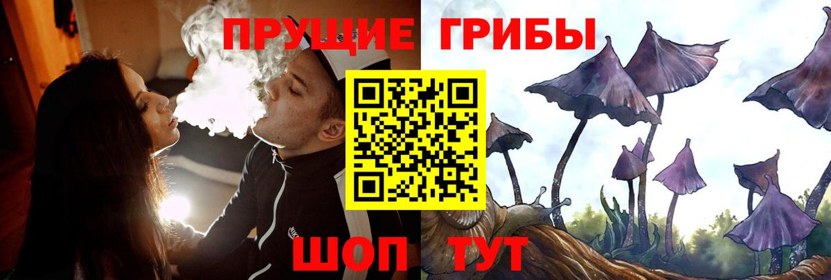 Галлюциногенные грибы Cubensis Сорочинск