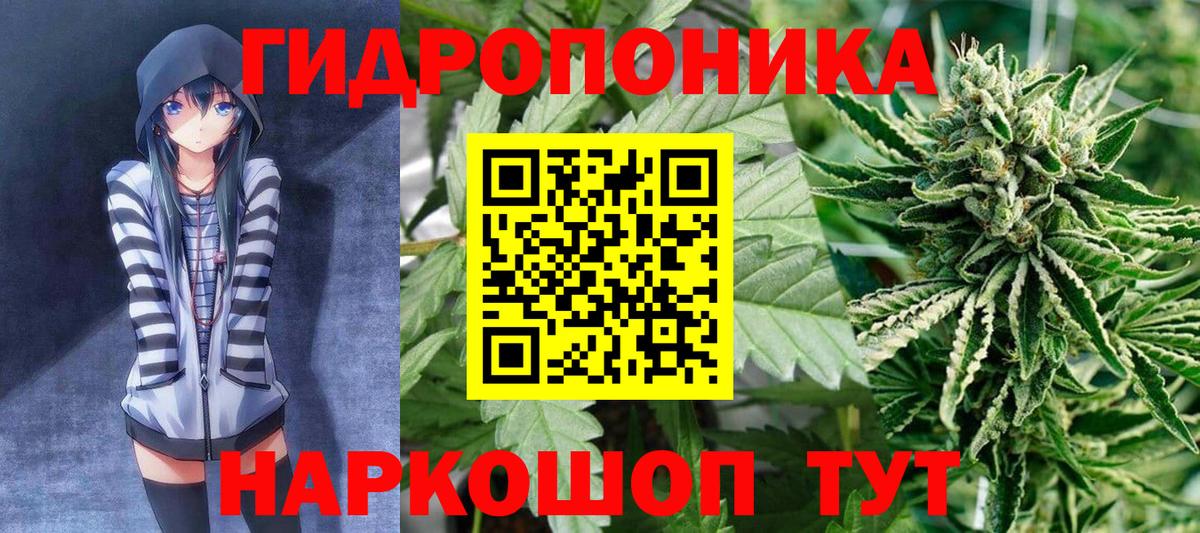 Бошки Шишки индика Сорочинск